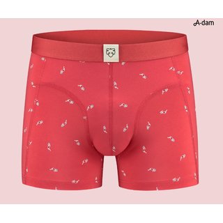 Boxer Brief Diederick