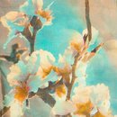 Schal 180x70cm Herbstmorgen, Modal-Baumwolle