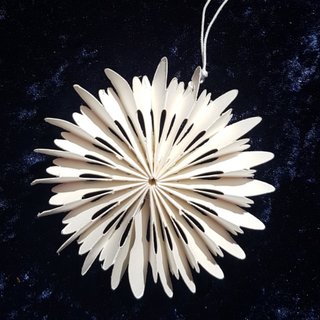 Christbaumschmuck Eisblume