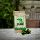 Minigarten SPINAT Bio