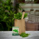 Minigarten SPINAT Bio