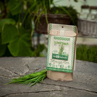 Minigarten SCHNITTLAUCH