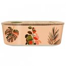 Bioloco plant lunchbox - colorful leaves