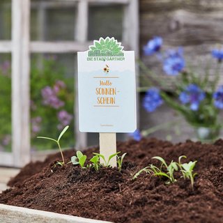 Saatgr&uuml;&szlig;e - Hallo Sonnenschein