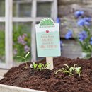 Saatgr&uuml;&szlig;e - Brichst du mir das Herz