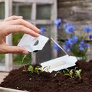 Saatgr&uuml;&szlig;e - Brichst du mir das Herz