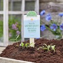 Saatgr&uuml;&szlig;e - Wenn der G&auml;rtner schl&auml;ft,