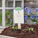 Saatgr&uuml;&szlig;e - Du bist zum Anbei&szlig;en