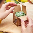 Leckerbissen - Fr&uuml;chtchen