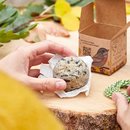 Leckerbissen - Fr&uuml;chtchen