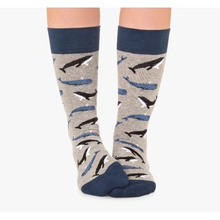Socken Whales