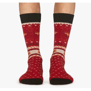 Wintersocken - Winter Fox rot