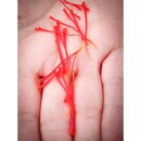 Safranf&auml;den kbA, 0,5g