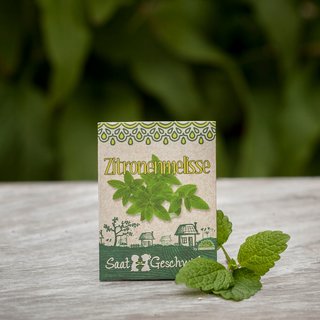Saatgut - Zitronenmelisse