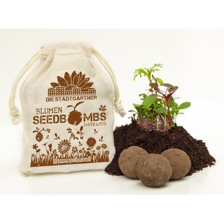 Samenbomben BIENENSCHMAUS