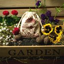 Samenbomben BIENENSCHMAUS