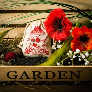 Samenbomben BL&Uuml;HENDES KORNFELD