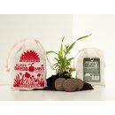 Samenbomben BL&Uuml;HENDES KORNFELD