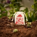 Samenbomben BL&Uuml;HENDES KORNFELD