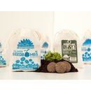 Samenbomben G&Auml;NSEBL&Uuml;MCHEN