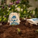 Samenbomben G&Auml;NSEBL&Uuml;MCHEN