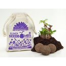 Samenbomben SCHMETTERLINGWIESE