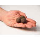 Samenbomben WILDE WIESE