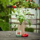 Minigarten PAPRIKA Lubega Red