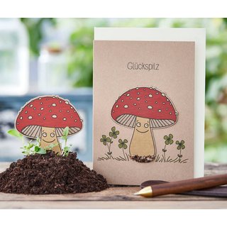 Saatsteckkarte Gl&uuml;ckspilz