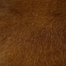 Wechselklappe HAIR braun IndiWIEDUella, Rindsleder