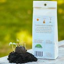 Samenbomben 5er T&uuml;te SONNENSCHEIN