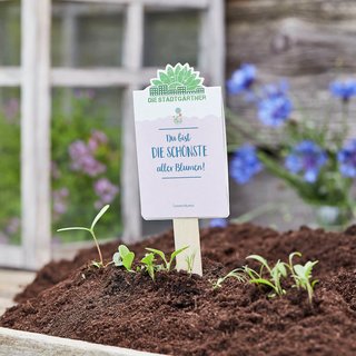 Saatgr&uuml;&szlig;e -Du bist die sch&ouml;nste aller Blumen 