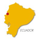 Kakaobohnen Ecuador gerostet 100g