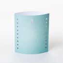 Dreamlights Winter Bear 